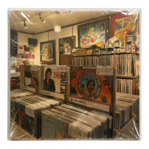 店内中央に並ぶレコード棚と新着レコード